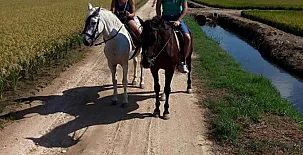 La Barraca de Salvador 007