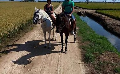 La Barraca de Salvador en Deltebre (Tarragona) - Foto 7