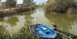 La Barraca de Salvador 0011