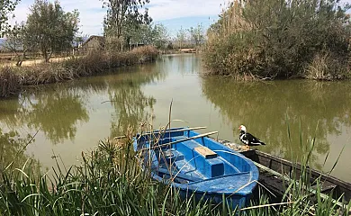 La Barraca de Salvador en Deltebre (Tarragona) - Foto 11