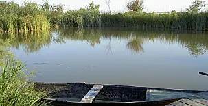 La Barraca de Salvador 0012