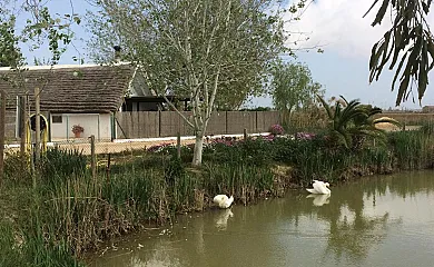 La Barraca de Salvador en Deltebre (Tarragona) - Foto 4