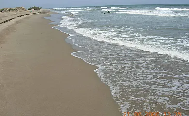 Isla de buda en Deltebre (Tarragona) - Foto 17