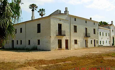 Isla de buda en Deltebre (Tarragona) - Foto 19