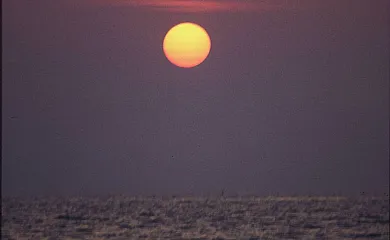 Isla de buda en Deltebre (Tarragona) - Foto 8