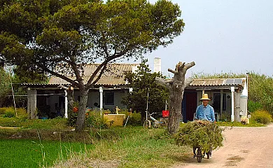 Isla de buda en Deltebre (Tarragona) - Foto 21