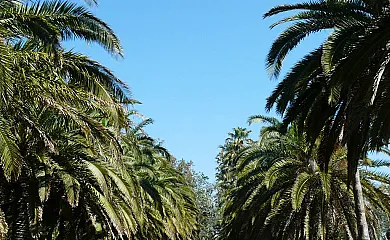 Isla de buda en Deltebre (Tarragona) - Foto 11