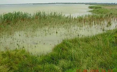 Isla de buda en Deltebre (Tarragona) - Foto 12
