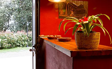 La Cugulada en Santa Maria de Merlès (Barcelona) - Foto 15