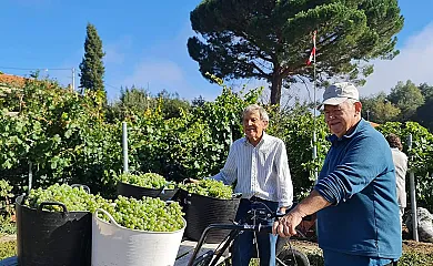 Casa Ferrador en Sober (Lugo) - Foto 19