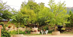 Alojamiento Macarena 0011