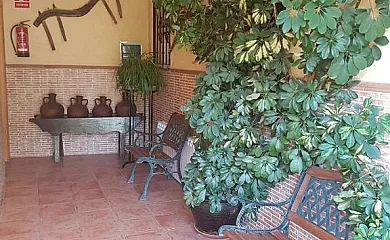 Alojamiento Macarena en Burunchel (Jaén) - Foto 12