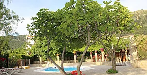 Alojamiento Macarena 0018