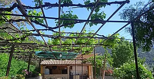 Alojamiento Macarena 002