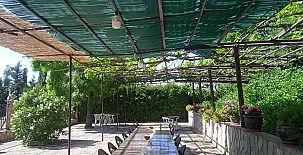 Alojamiento Macarena 0020