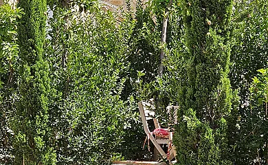 Beautiful Alamedas en Castronuño (Valladolid) - Foto 12