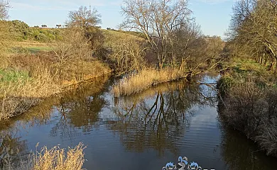 Casa Rural Hidalgo en Corral de Calatrava (Ciudad Real) - Foto 12