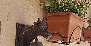 Alojamientos Casa Sanahuja 0034