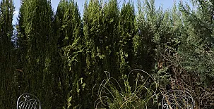 Alojamientos Casa Sanahuja 0054