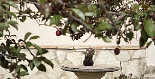 Alojamientos Casa Sanahuja 0061