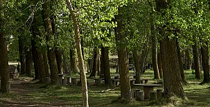 Alojamientos Casa Sanahuja 0063