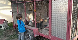 Apartamentos El Prado 0015