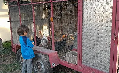 Apartamentos El Prado en Valbona (Teruel) - Foto 15