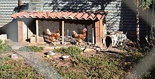 Apartamentos El Prado 0017