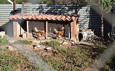 Apartamentos El Prado en Valbona (Teruel) - Foto 17