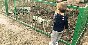 Apartamentos El Prado 0018