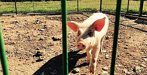 Apartamentos El Prado 0019