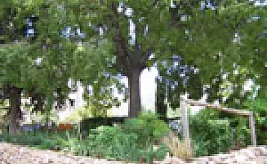 Casa Rurales Vizcable en Nerpio (Albacete) - Foto 6