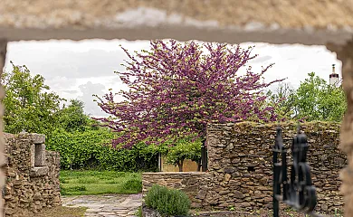 Finca El Azahar en Trujillo (Cáceres) - Foto 6