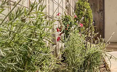 Casa Rural Alins (Only Adults) en Alíns del Monte (Huesca) - Foto 18