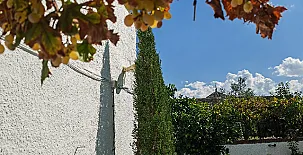 Casa Rural La Bandada y Casa Rural Teralba 009