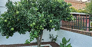 Casa Rural La Bandada y Casa Rural Teralba 0010