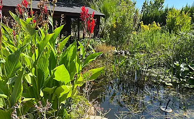 Villa Carpe Diem en El Perelló (Tarragona) - Foto 18