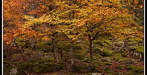 Casa Rural de la Tía Fresquera 0017