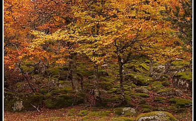 Casa Rural de la Tía Fresquera en Covaleda (Soria) - Foto 17