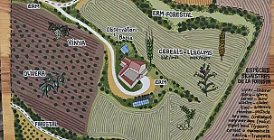 La Torre del Codina 0010