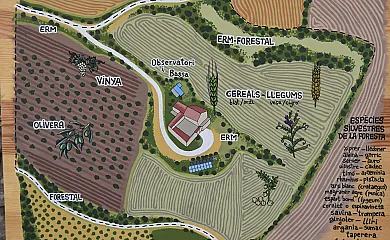 La Torre del Codina en Talladell (Lleida) - Foto 10