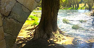 Apartamentos turísticos la Reserva 0034