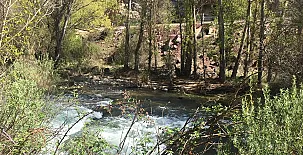 Apartamentos turísticos la Reserva 0035