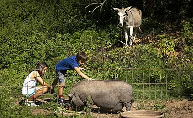 Can Solà , la Vall de Bianya. en Vall de Bianya (Girona) - Foto 14