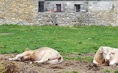 Apartamentos Fiscal en Fiscal (Huesca) - Foto 8