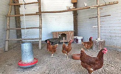 Mas Romeu Turisme Rural en Arbucies (Girona) - Foto 6