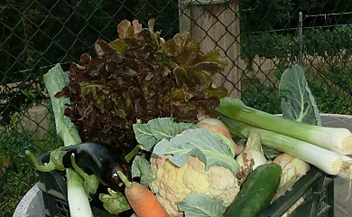 Mas Romeu Turisme Rural en Arbucies (Girona) - Foto 19