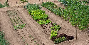 Mas Romeu Turisme Rural 004