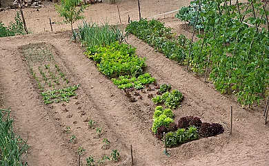 Mas Romeu Turisme Rural en Arbucies (Girona) - Foto 4