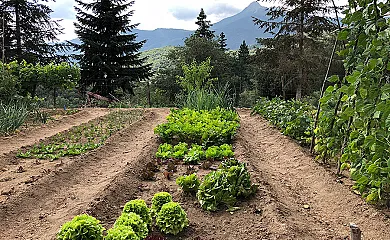 Mas Romeu Turisme Rural en Arbucies (Girona) - Foto 23